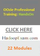 OOzie Professional Training